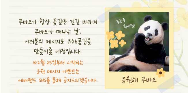 푸바오3