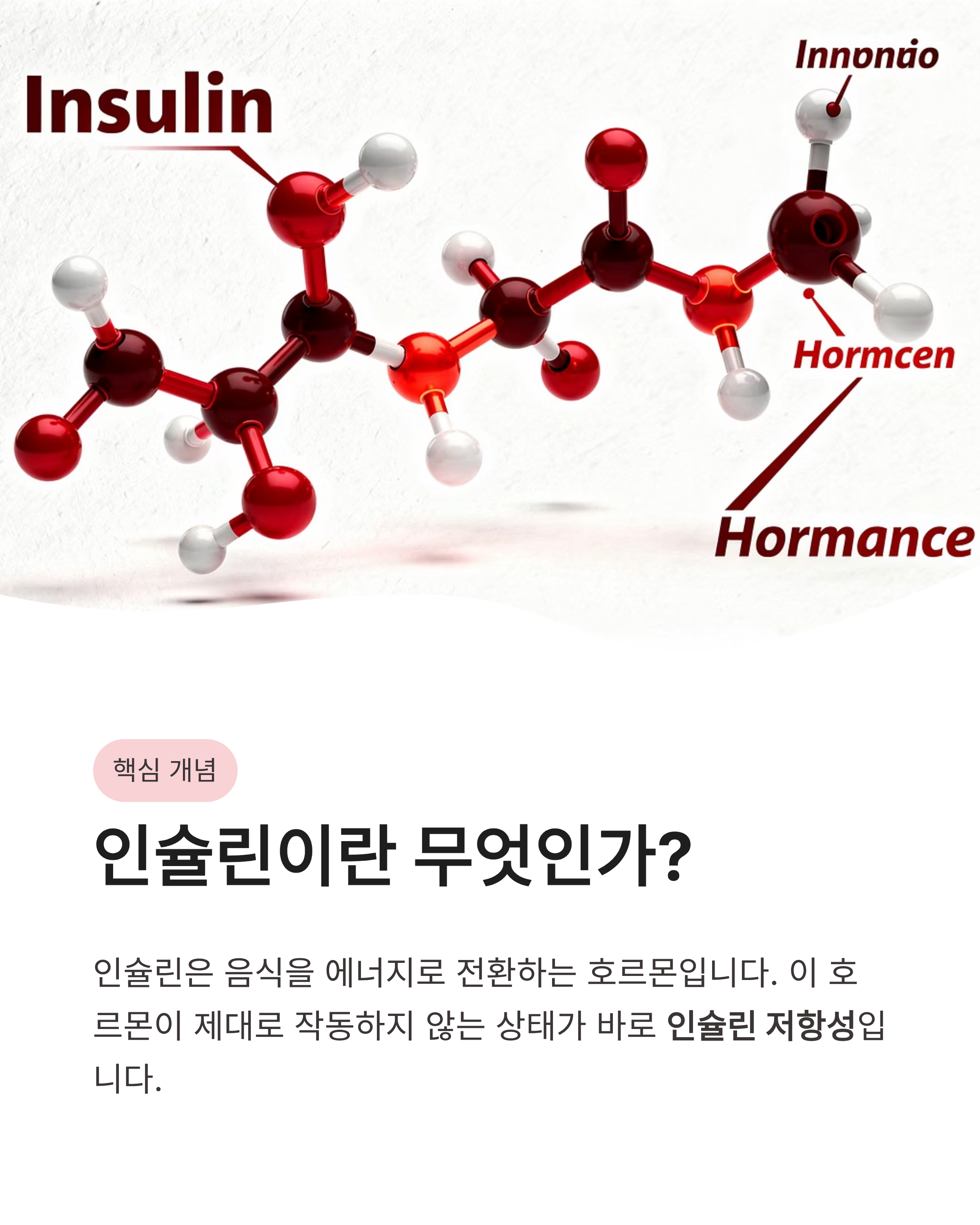인슐린 저항성과 다이어트와의 관계, 뱃살이 안 빠지는 진짜 이유와 해결법 총정리!