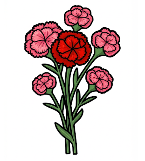 스승의 날 카네이션