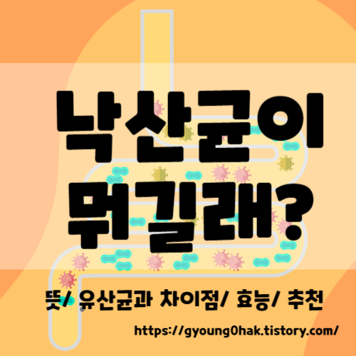 낙산균프로바이오틱스