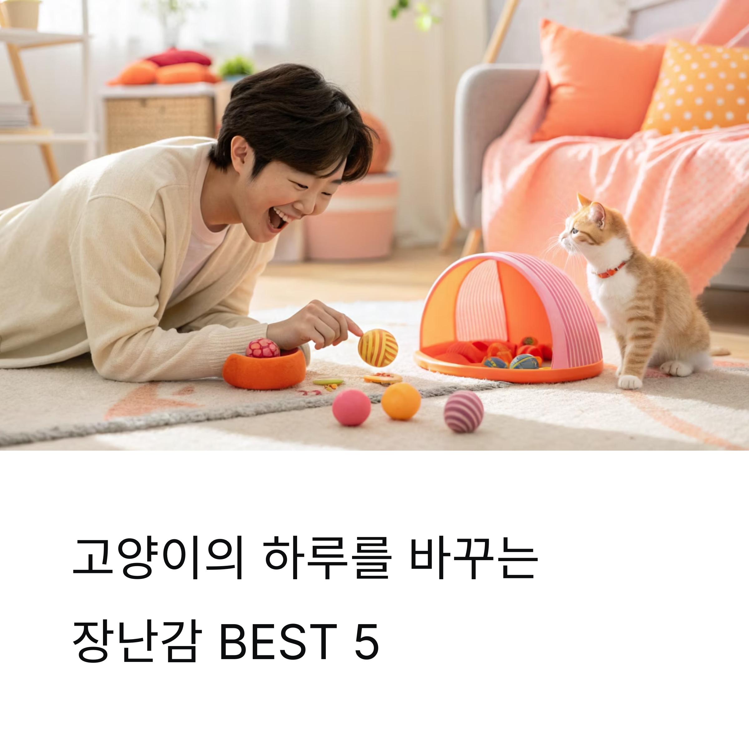 고양이의 하루를 바꾸는 장난감 추천 BEST 5