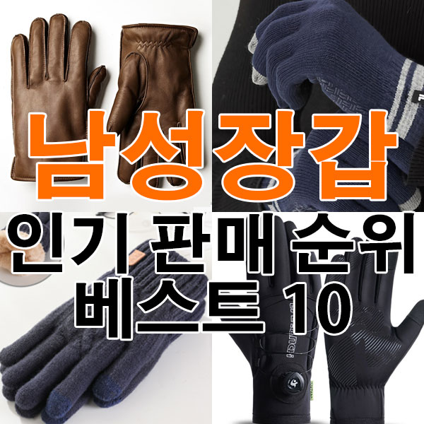 남성 장갑 추천 인기 판매 순위 베스트 10 [2025년 12월 2주차]