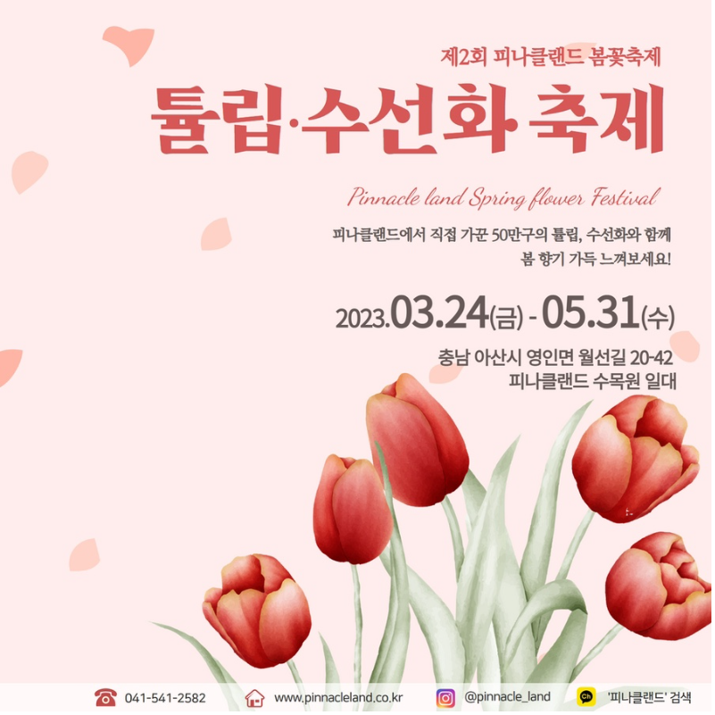 아산 피나클랜드 튤립 축제.생방송투데이.일정.가는길.주차장.2023년안내