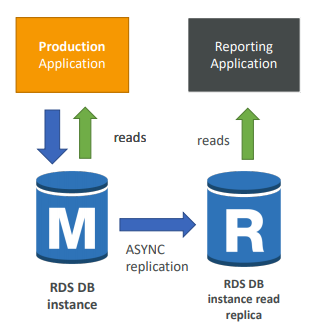 RDS Read Replica