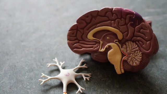 치매의 정의와 증상&#44; 그리고 원인 및 예방방법