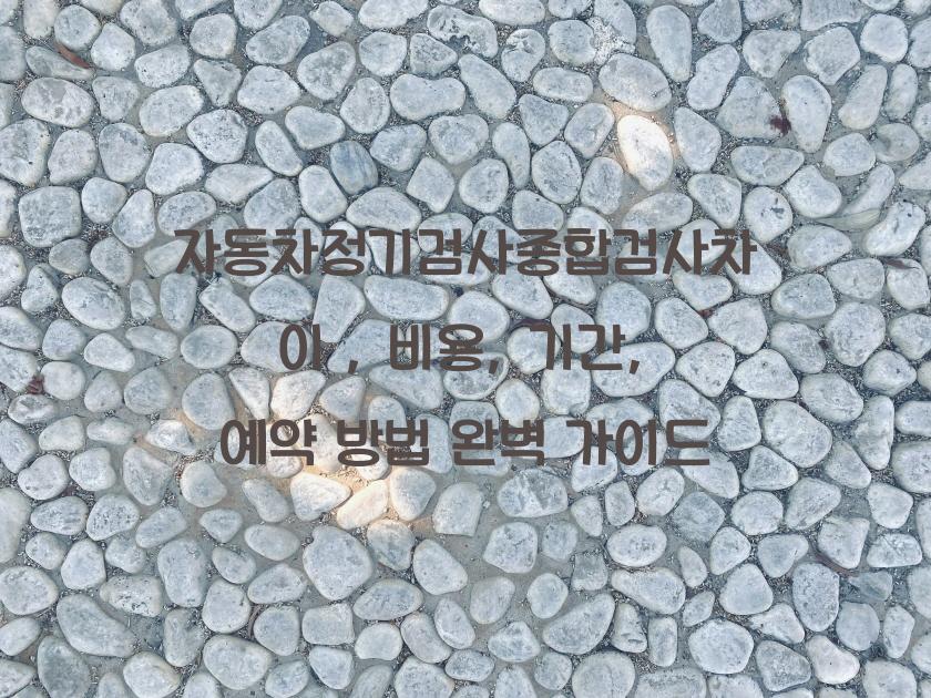 자동차정기검사종합검사차이