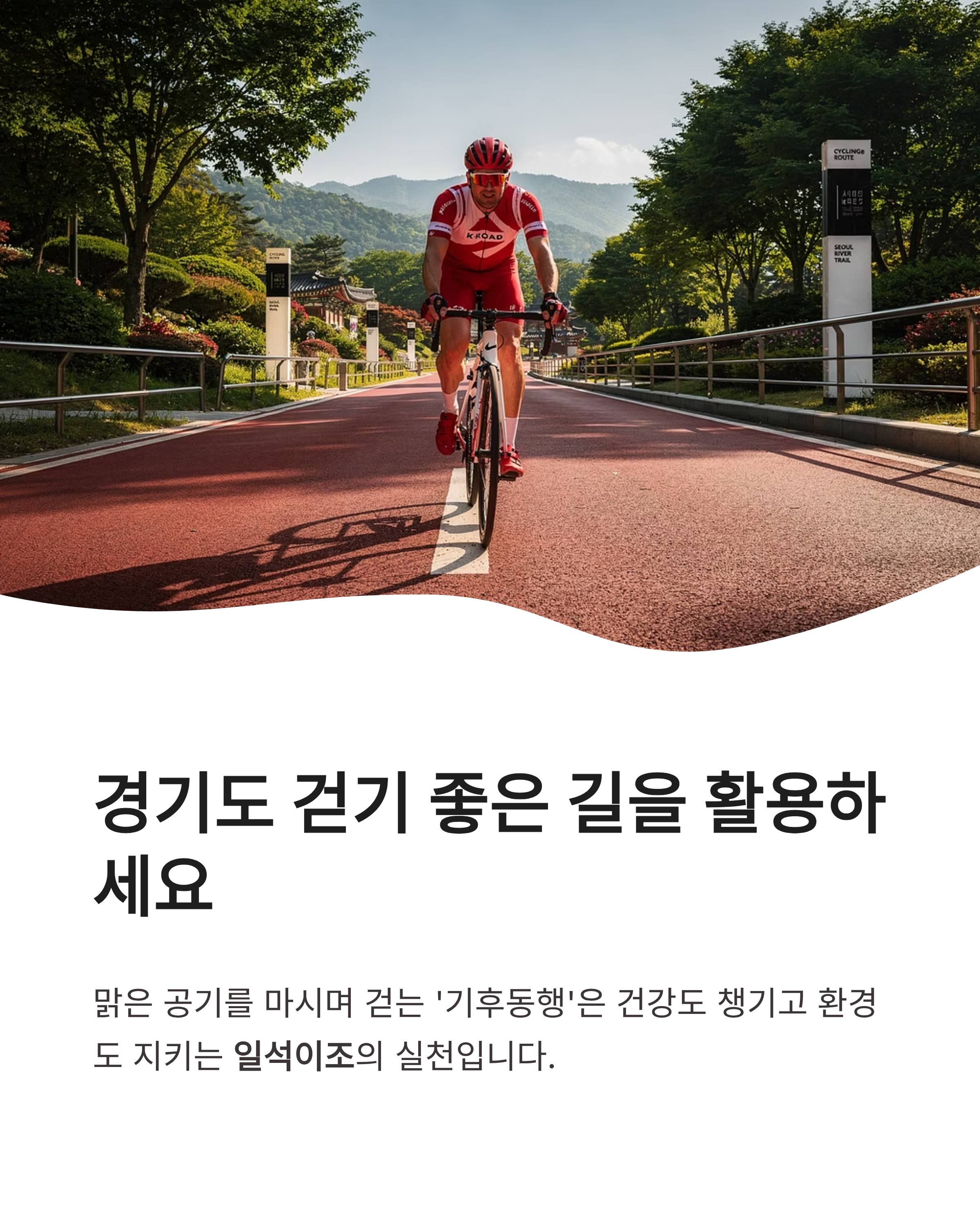 5월13일 기후행동 기후동행 퀴즈 정답, 경기도 생물다양성 지키는 꿀팁 확인하셨나요?