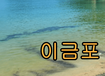 거문도_백도_가는_방법