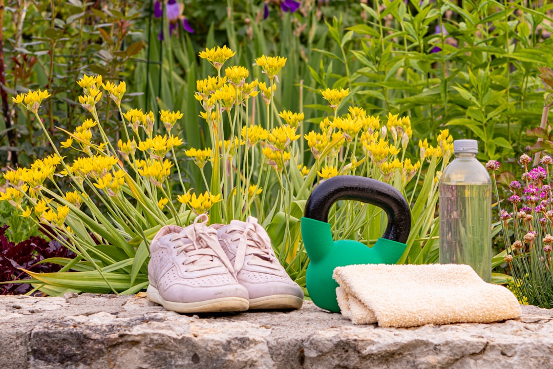 Kettlebell