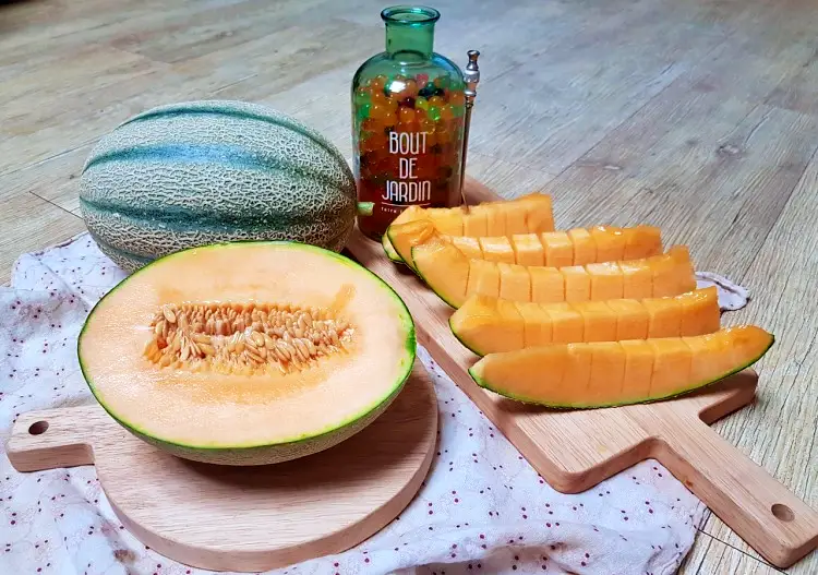 2대 째 메론 재배중인 8가지 멜론 파는 곳 전국 택배 인터넷 전화 주문 방법 추천