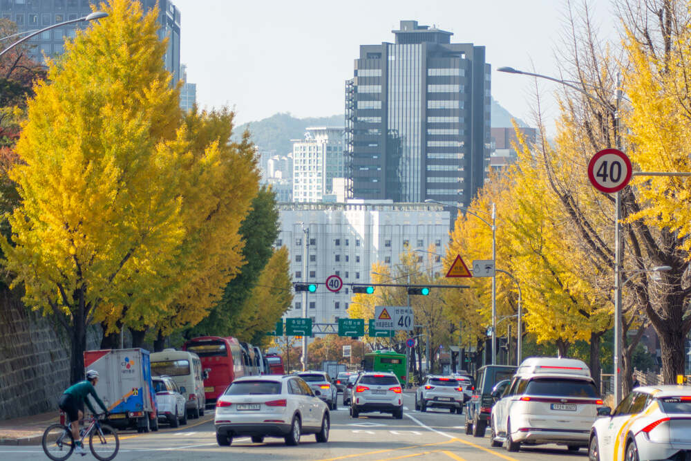 남산둘레길 10월 28일 상황 단풍