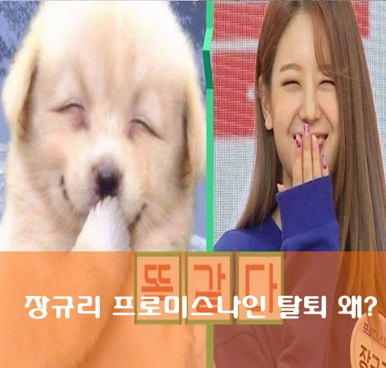 장규리 개죽이