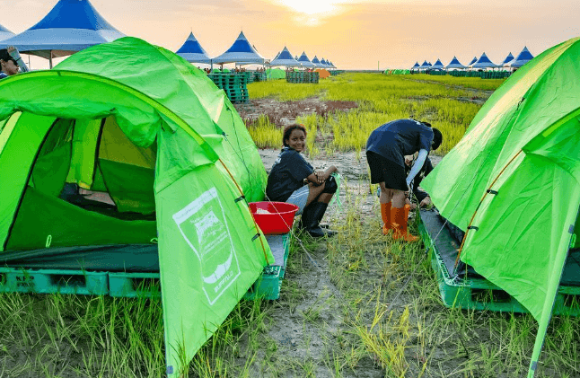 새만금 세계스카우트잼버리