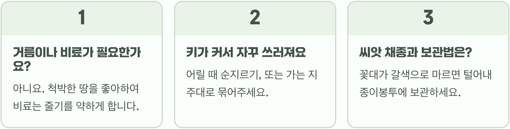 초보 정원사를 위한 기생초 키우기, 씨앗 파종부터 월동까지 A to Z