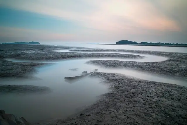 JLPT 일본어 능력시험 취득방법 국비지원