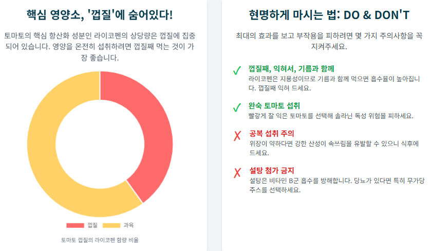 토마토 주스 제대로 마시는 꿀팁, 알고 있나요? (효능 주의사항 총정리)