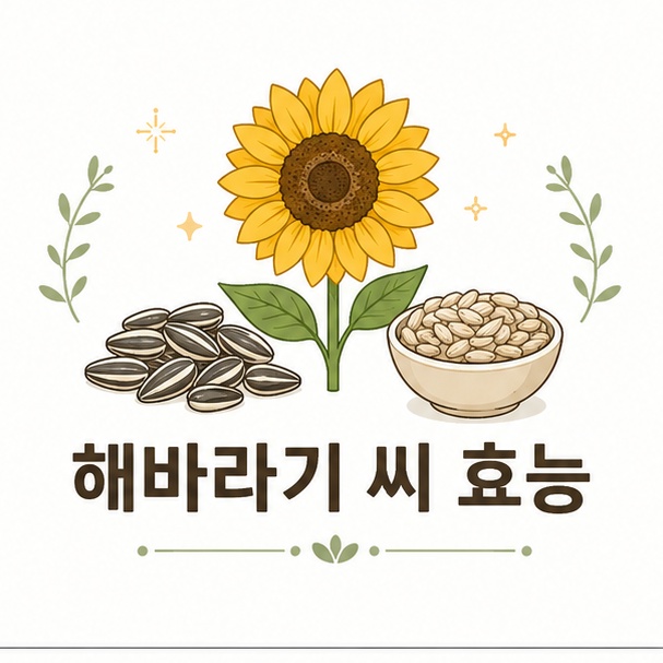 해바라기 씨 효능과 성분 정리