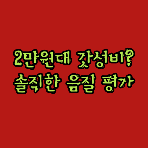 Sanag C16S 오픈형 이어폰 2