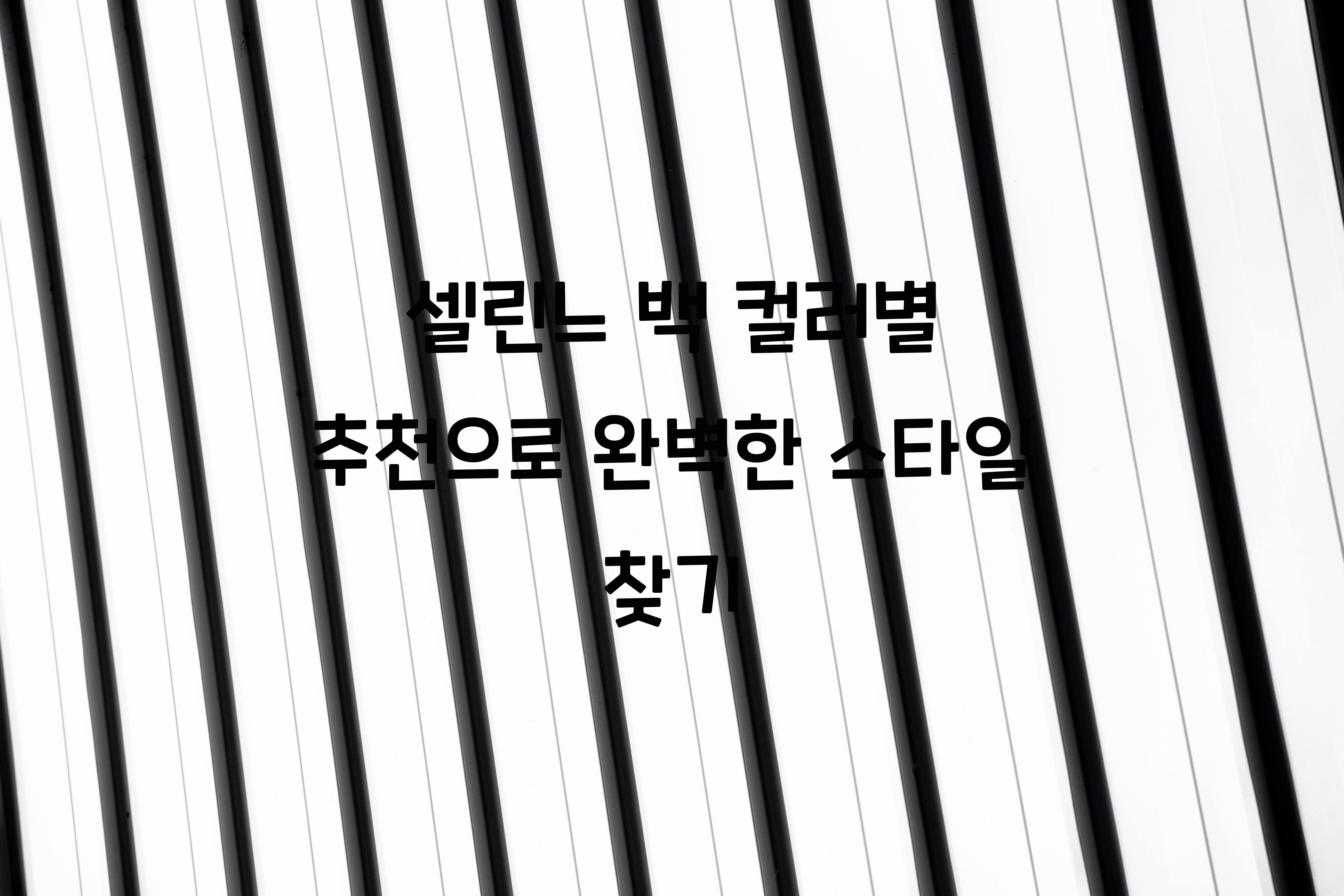 셀린느 백 컬러별 추천