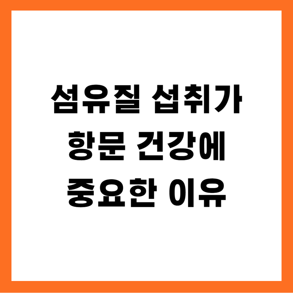 섬유질 섭취가 항문 건강에 중요한 이유