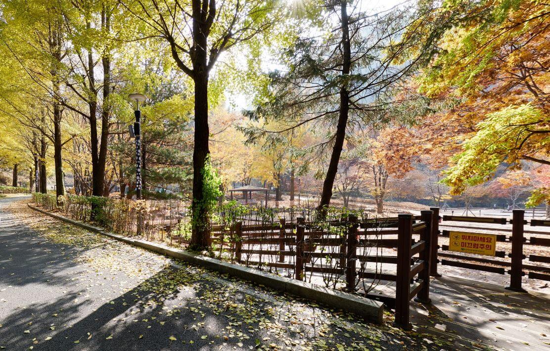 다리안 캠핑장 A 11