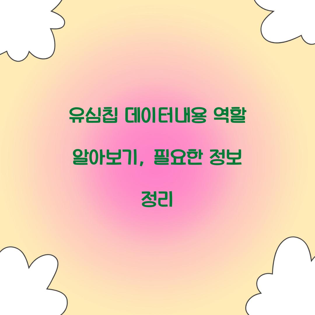 유심칩 데이터내용 역할