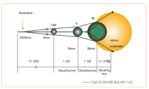 간암(수술, 시술) 치료 후 적정 검사 주기는? 관리 방법!