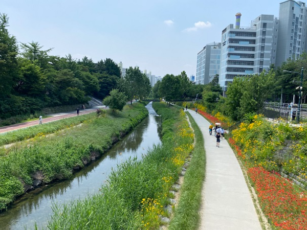 당현천 중계교 이미지