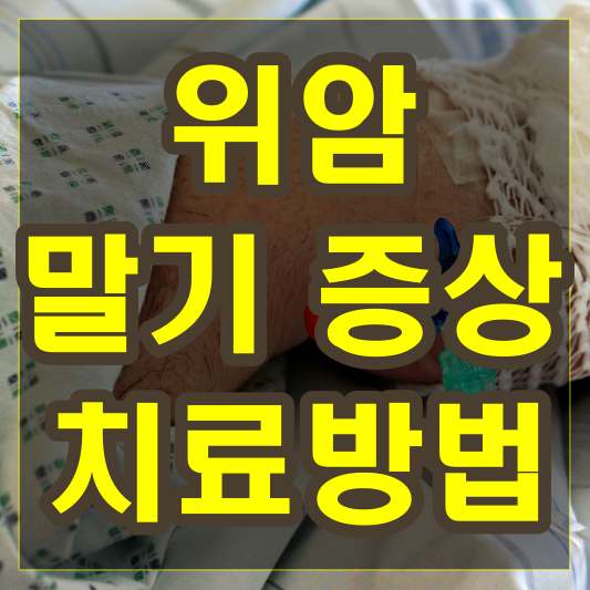 위암 말기 증상과 치료방법