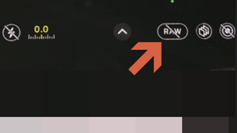 프롤로우는설정에있는카메라메뉴에포맷에서설정가능로우버튼선택하여활성화시켜줌