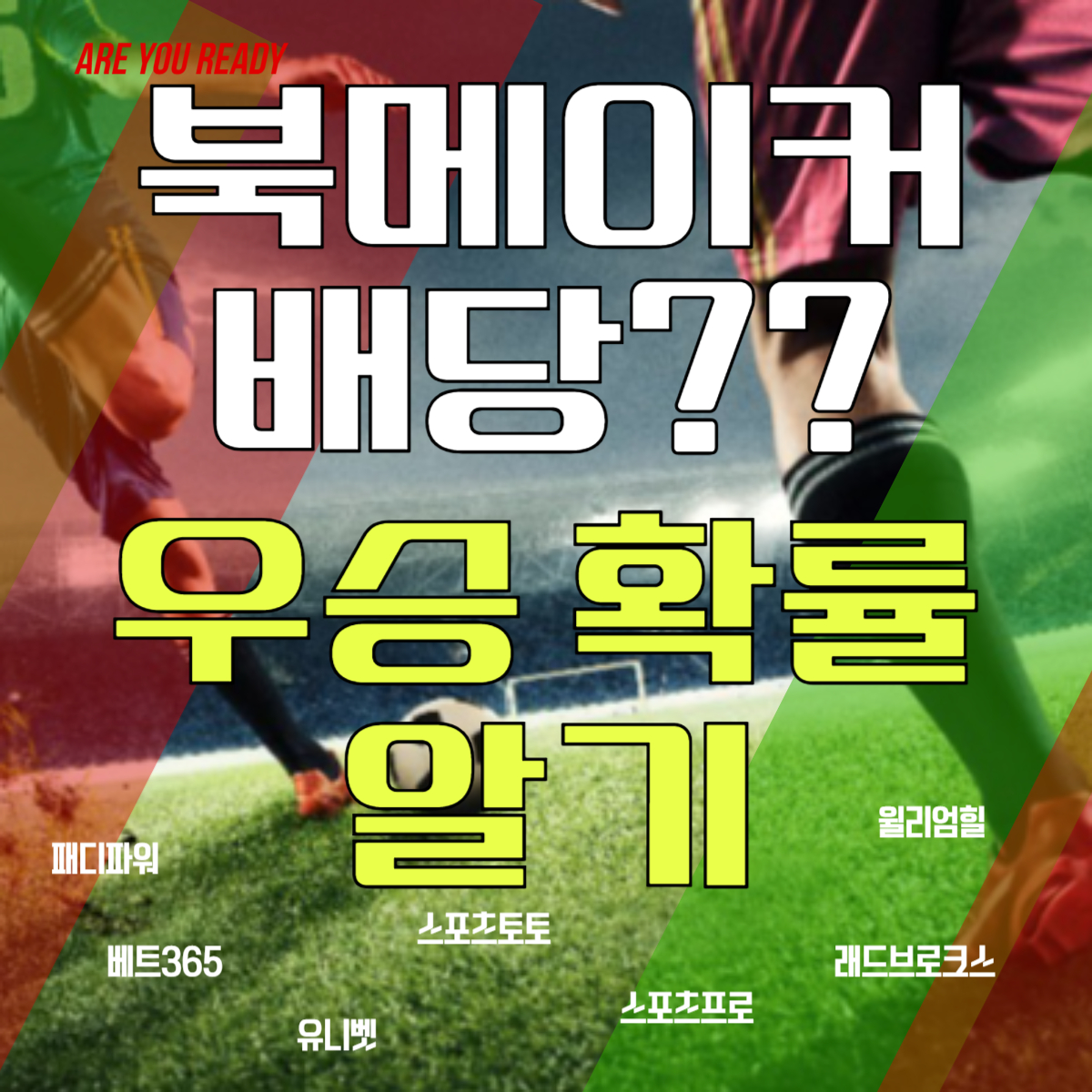 스포츠배팅 북메이커 배당 이해하고 확률로 우승팀 예측하기