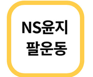 NS윤지 팔운동