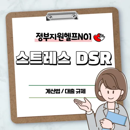 스트레스 DSR