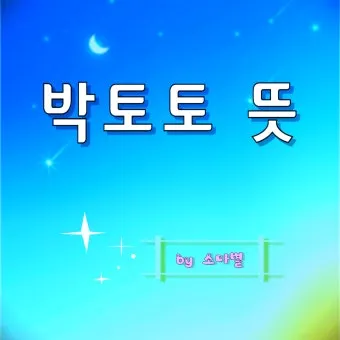 박토토 뜻 박충섭 시네마천국 뜻_1