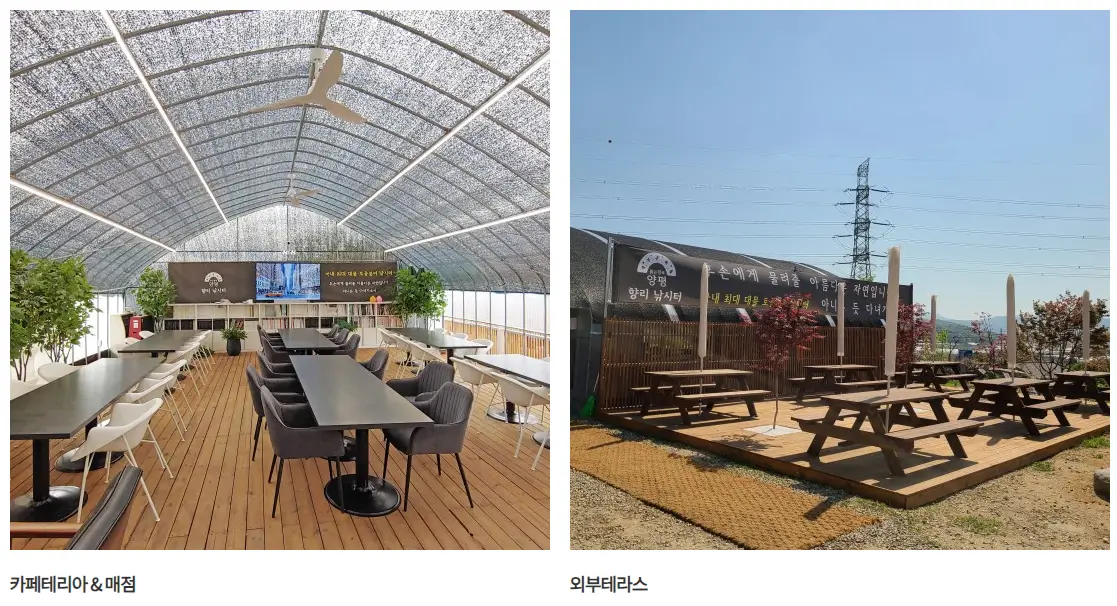 빙어축제 서울 근교