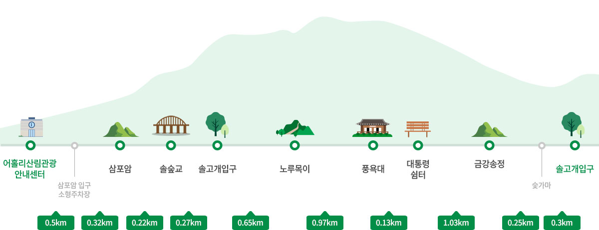산림청 명품숲길 겨울 트레킹 : 대관령소나무숲길, 국가숲길·금강송