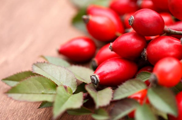 로즈힙 퓨레 효능 8가지 및 로즈힙퓨레 먹는 방법과 쥬스 만들기