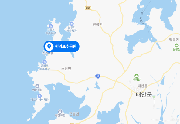 천리포수목원 목련축제