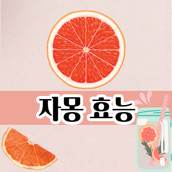 자몽 효능│자몽 효능과 부작용 알고 드세요!