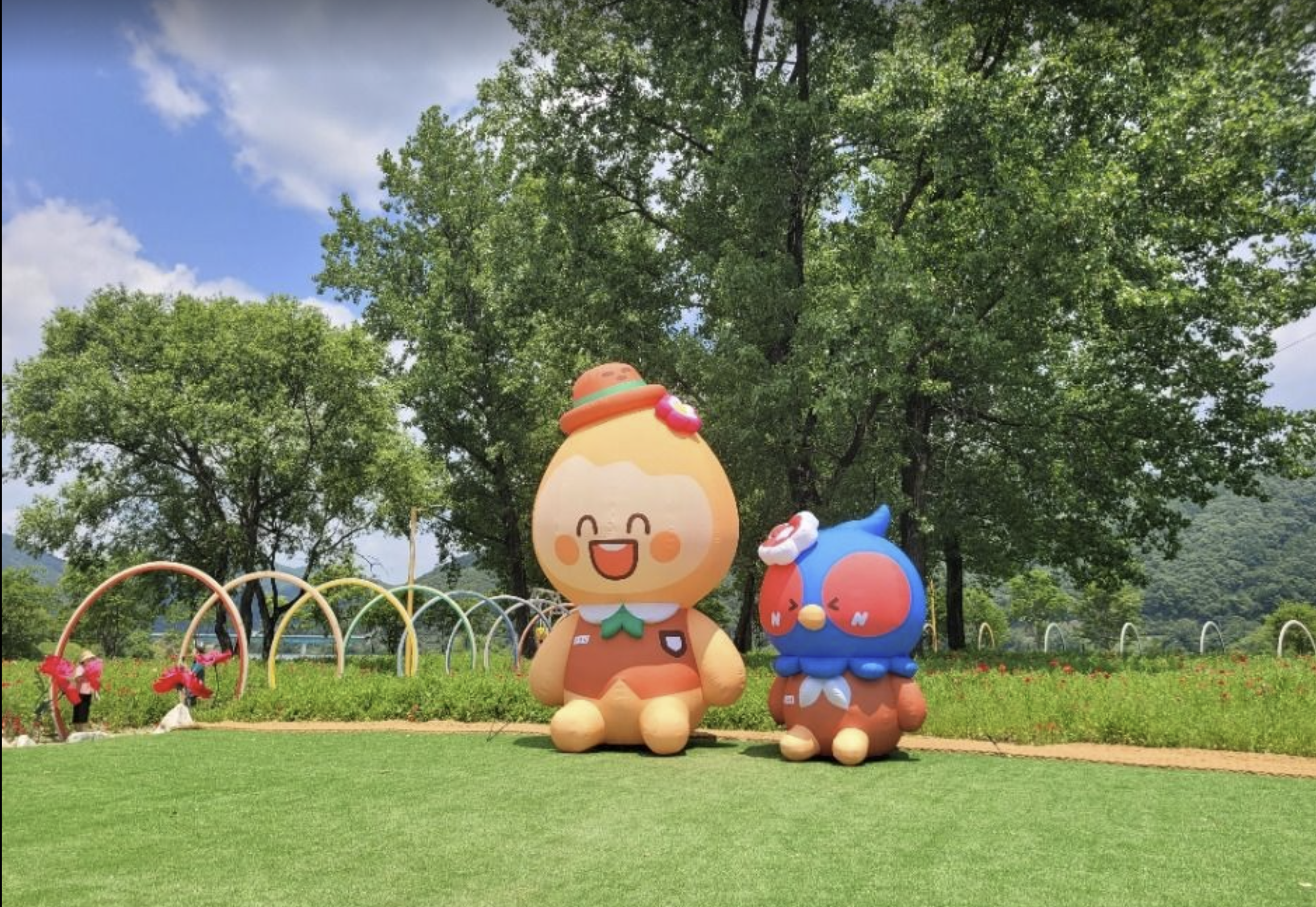 Colorful Garden 자라섬 꽃 페스타