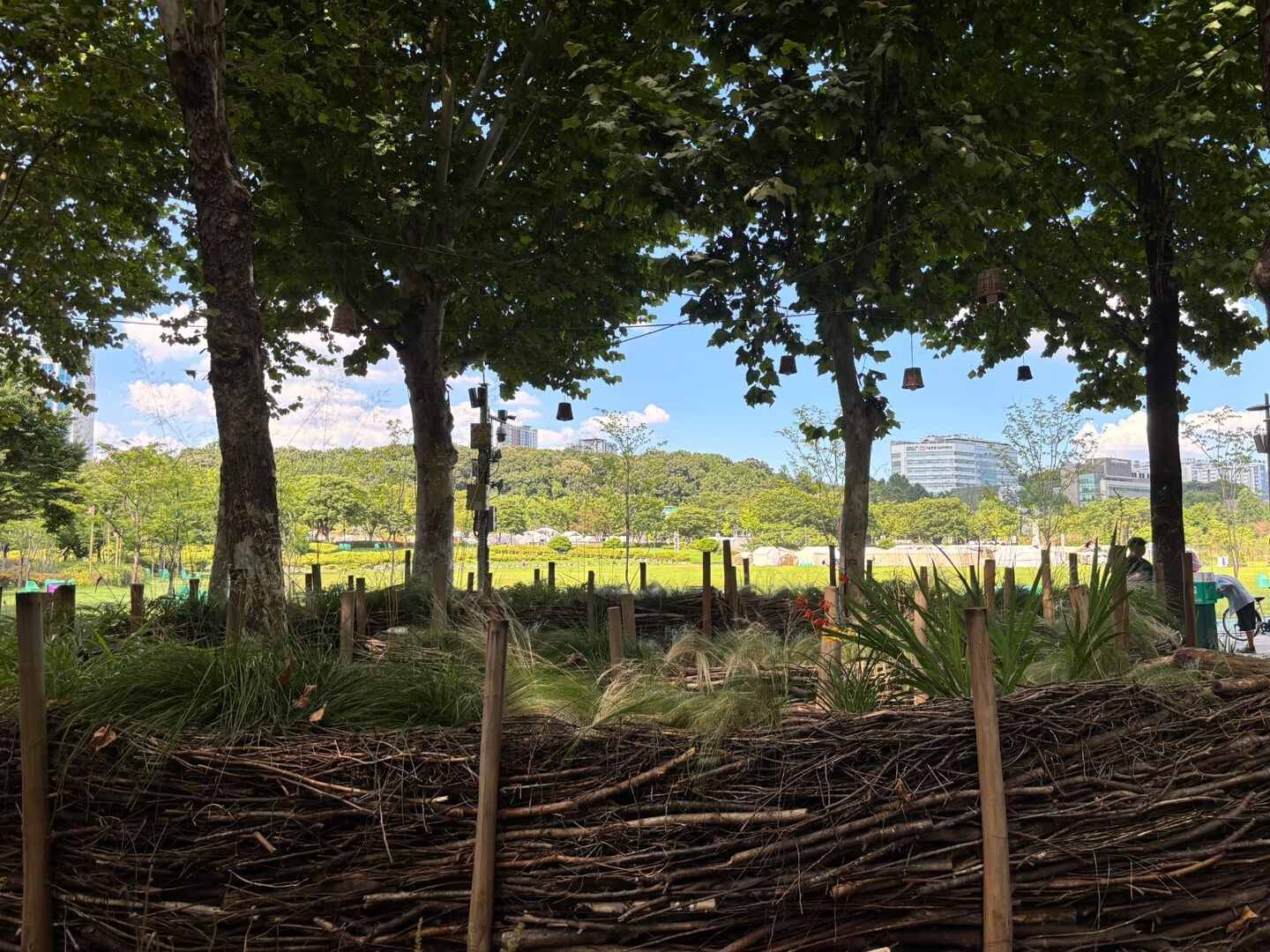 보라매공원 풍경사진