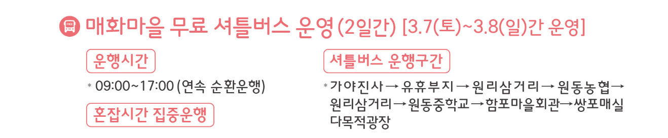 양산 원동 매화축제 주차장 셔틀버스