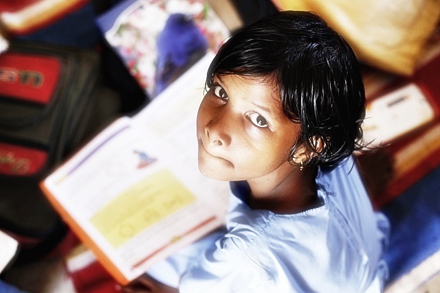 학교폭력 실태조사