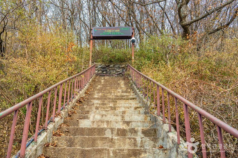 양양 가볼만한곳 베스트 10