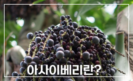 아사이베리란?