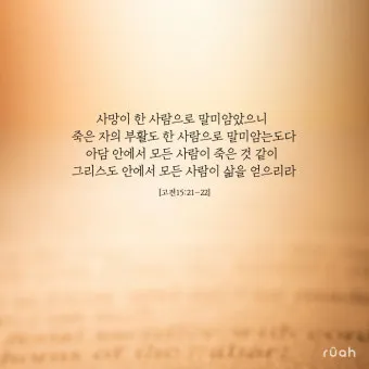 고린도전서 6장 19절 묵상 - 너희 몸은 너희가 하나님께로부터 받은 바 너희 가운데 계신 성령의 전인 줄을 알지 못하느냐_5