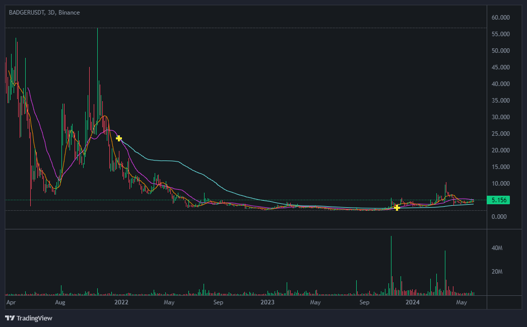뱃저다오 코인 가격 현황