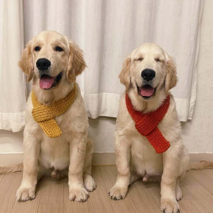 생생정보 틈새 알바 이거 어때