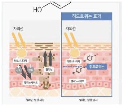 도미나크림 효과 효능