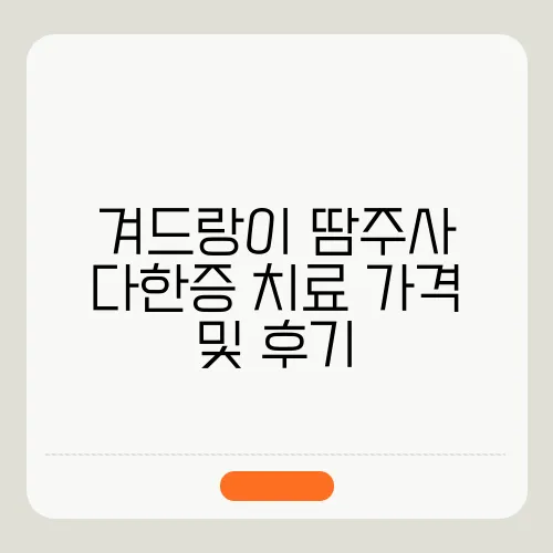 겨드랑이 땀주사 다한증 치료 가격 및 후기